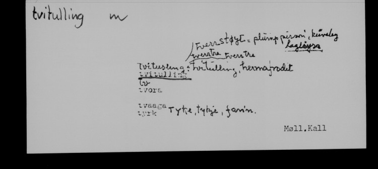 Tvitulling i Norsk Ordboks setelarkiv. Kjelde: J.M. Møllerup, Samling av kalleord. Universitetsbiblioteket i Bergen, Språksamlingane.